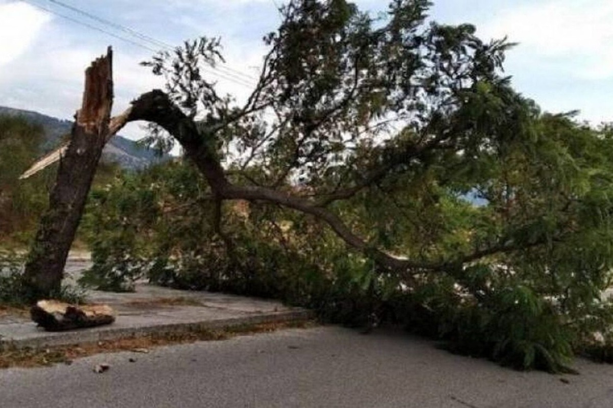 Καταστροφές σε όλη τη χώρα από τους ισχυρούς ανέμους ‑ Οδηγίες για να προφυλαχθείτε