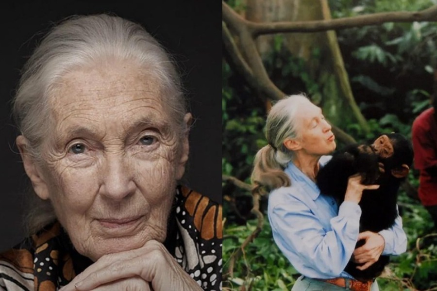 Πέθανε η Jane Goodall, η ανθρωπολόγος που έγινε φίλη με τους χιμπατζήδες