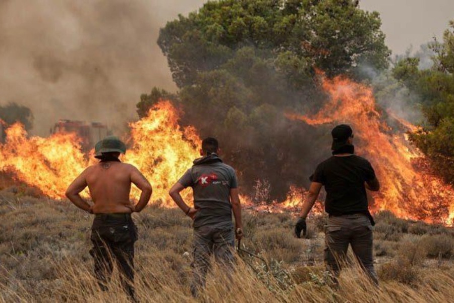 Ξεσπούν οι πυρόπληκτοι μετά τη φωτιά στην Αττική: «Τη σβήναμε με εμφιαλωμένο νερό»