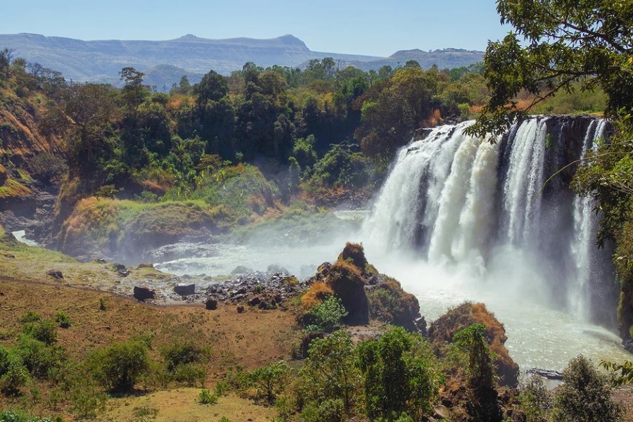 Επιστήμονας ισχυρίζεται πως εντόπισε τον Κήπο της Εδέμ μετά από «ενδελεχή μελέτη» της Βίβλου και του Κορανίου