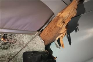 Κορμός δέντρου διαπέρασε το τρένο που προσέκρουσε μεταξύ Σφενδάλης και Αφιδνών