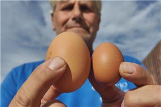 Ρεκόρ Γκίνες στο Ναύπλιο - Αυγό ζυγίζει 114 γραμμάρια