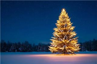 Video: Τράκαρε με το Χριστουγεννιάτικο δέντρο