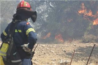 Πρέβεζα: Αυτόπτης μάρτυρας σε εμπρηστική ενέργεια ο Δήμαρχος - Αίτημα για κήρυξη σε έκτακτη ανάγκη