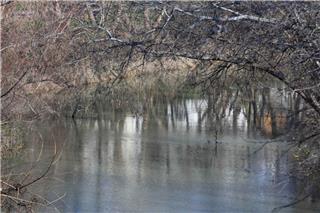Ανεβαίνει η στάθμη του Πηνειού - Σε αυξημένη επιφυλακή ο Δήμος Λάρισας