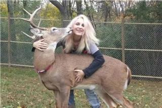 Τραγικός θάνατος 64χρονης: Της επιτέθηκε ελάφι που φρόντιζε επί χρόνια