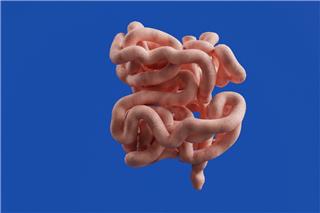 Το έντερο «μιλάει»: Τα 6 σημάδια που προειδοποιούν ότι κάτι δεν πάει καλά - και πώς να το διορθώσετε