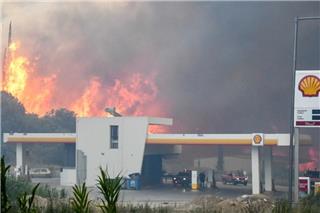 Δήμαρχος Δυτικής Αχαΐας: Αν η φωτιά περάσει στο δάσος της Μόβρης, τότε θα φτάσει μέχρι την Ηλεία»