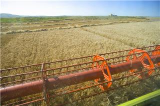 Eurostat: Βουλιάζει η παραγωγικότητα του αγροτικού τομέα στην Ελλάδα – Αυξάνεται στην ΕΕ