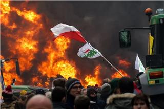 Μπλόκα αγροτών στις Βρυξέλλες: Επεισόδια με συγκρούσεις και χημικά - Έκαψαν χριστουγεννιάτικο δέντρο