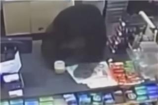 Αρκούδα εισέβαλε σε κατάστημα και κυνήγησε 11χρονο στις ΗΠΑ