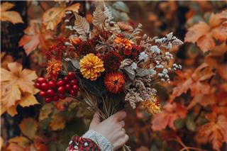 Τα ζώδια σήμερα 2/11: Κράτα το focus