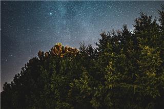 Τα ζώδια σήμερα 15/11: Σήμερα λάμπεις χωρίς να το κυνηγάς