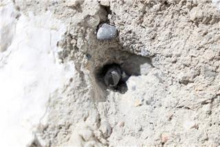 Οι 6+3 «πρωταγωνιστές» της αιματηρής βεντέτας στα Βορίζια: Ποιοι κρύβονται και ποιοι τραυματίστηκαν