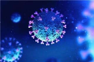 Ευλογιά των πιθήκων (mpox): Συναγερμός για την εξάπλωσή της ‑ Συνεδριάζει ο ΠΟΥ