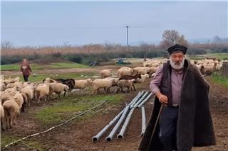 Σε κατάρρευση ο κτηνοτρόφος μετά τον συγκινητικό αποχαιρετισμό στα 450 πρόβατά του – Μεταφέρθηκε στο νοσοκομείο