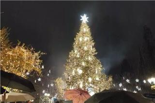 Η Αθήνα φόρεσε τα γιορτινά της υπό βροχή: Αναψε το χριστουγεννιάτικο δέντρο στην πλατεία Συντάγματος