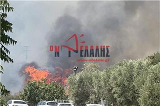 Πιερία: Εκκενώνεται η Πλάκα Λιτοχώρου λόγω της φωτιάς – Εστάλη μήνυμα από το 112