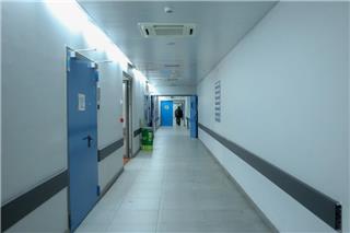 Πέθανε η 70χρονη που είχε δεχτεί επίθεση με πέτρα από 38χρονο όταν τάιζε αδέσποτες γάτες