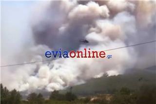 Φωτιά στην Εύβοια στην περιοχή Αφράτι: Δόθηκε εντολή εκκένωσης του οικισμού