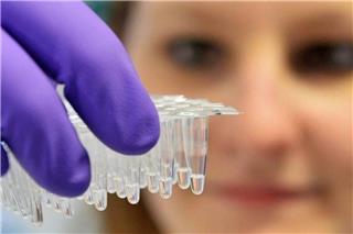 ΗΠΑ: Δεύτερος νεκρός από την γρίπη των πτηνών