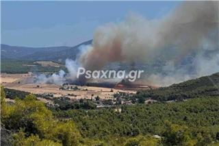 Εύβοια: Συνεχή μηνύματα του 112 για εκκενώσεις οικισμών – Ενισχύονται οι πυροσβεστικές δυνάμεις