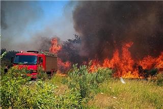 Φωτιά στο Αλιβέρι: Μία ανάσα από τα σπίτια οι φλόγες