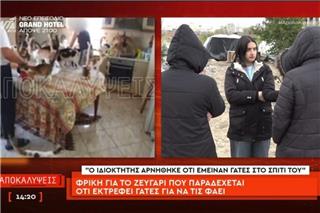 Φρίκη στον Εύοσμο: Ζευγάρι εξέτρεφε 51 γάτες για να τις φάει! – «Θα λυθεί το πρόβλημα της ασιτίας»