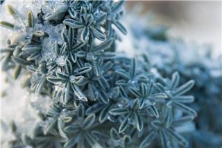 Καιρός - Τσατραφύλλιας: «Σκληρό καρύδι ο αντικυκλώνας»