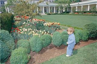 Το πιο απίθανο ξεκατίνιασμα του Λευκού Οίκου ξεκίνησε... από τον κήπο