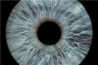 Ο πρώτος 3D-εκτυπωμένος κερατοειδής στον κόσμο αποκαθιστά πλήρως την όραση ασθενούς