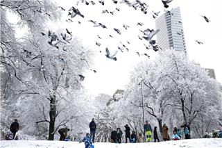 Χιονοθύελλα «παγώνει» τη Νέα Υόρκη, πάνω από 1.600 ακυρώσεις πτήσεων και χάος στις μετακινήσεις