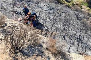 Πάτρα: Σοβαρό ατύχημα με πυροσβέστη που έπεσε σε χαράδρα στην περιοχή Μπάλα