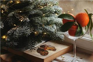 Τα ζώδια σήμερα 25/12: Aνήμερα Χριστουγέννων – Αγάπη, ξεκαθαρίσματα και μικρά θαύματα