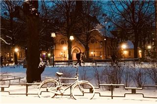 Τα ζώδια σήμερα 24/11: Μια παλιά ιδέα παίρνει ξανά αξία