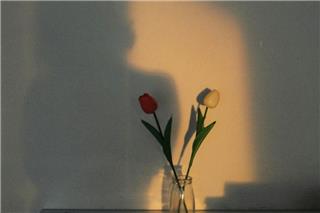 Τα ζώδια σήμερα 28/3: Kάνε την κίνηση μόνος σου