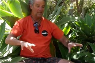 Τρομακτική συνάντηση σέρφερ με καρχαρία στην Αυστραλία: Του δάγκωσε τη σανίδα