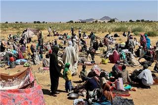 Σουδάν: Ανθρωποι τρώνε ζωοτροφές και πίνουν νερό της βροχής