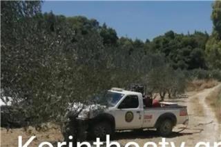 Κορινθία: ΙΧ έπεσε σε γκρεμό 25 μέτρων ‑ Νεκρός ο 76χρονος οδηγός