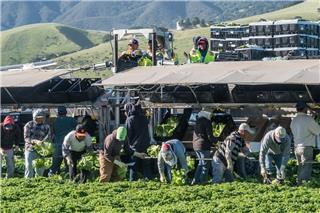 ΗΠΑ: Πακέτο στήριξης 12 δισ. δολαρίων ανακοίνωσε ο Τραμπ για τους αγρότες