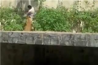 Τραγικός θάνατος για 19χρονο στη Βραζιλία: Μπήκε σε κλουβί ζωολογικού κήπου με λιοντάρια και τον κατασπάραξαν