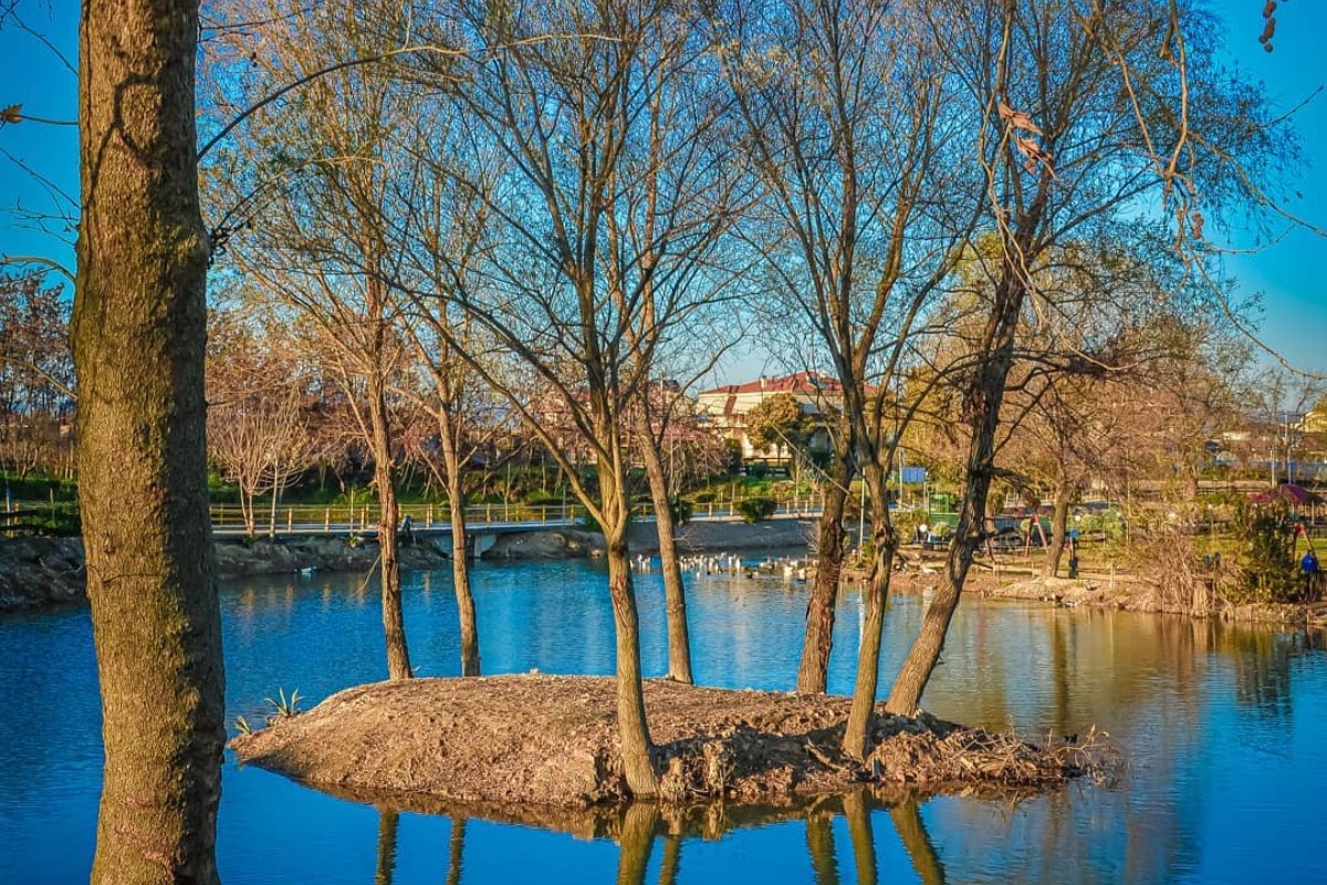 Η κρυφή λίμνη των Τρικάλων που μοιάζει σαν ψέμα ‑ Μια όαση ηρεμίας για όλη την οικογένεια
