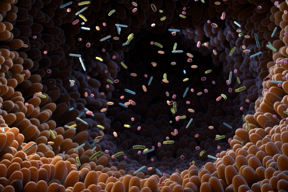 Επαναστατική ανακάλυψη για το Σύνδρομο Ευερέθιστου Εντέρου: Βρήκαν το «κλειδί» για την αποκατάσταση της λειτουργίας του εντέρου