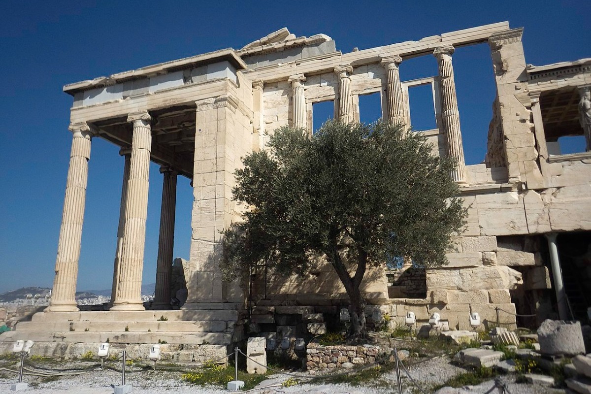 Ο θρύλος της ιερής ελιάς που βρίσκεται στην Ακρόπολη