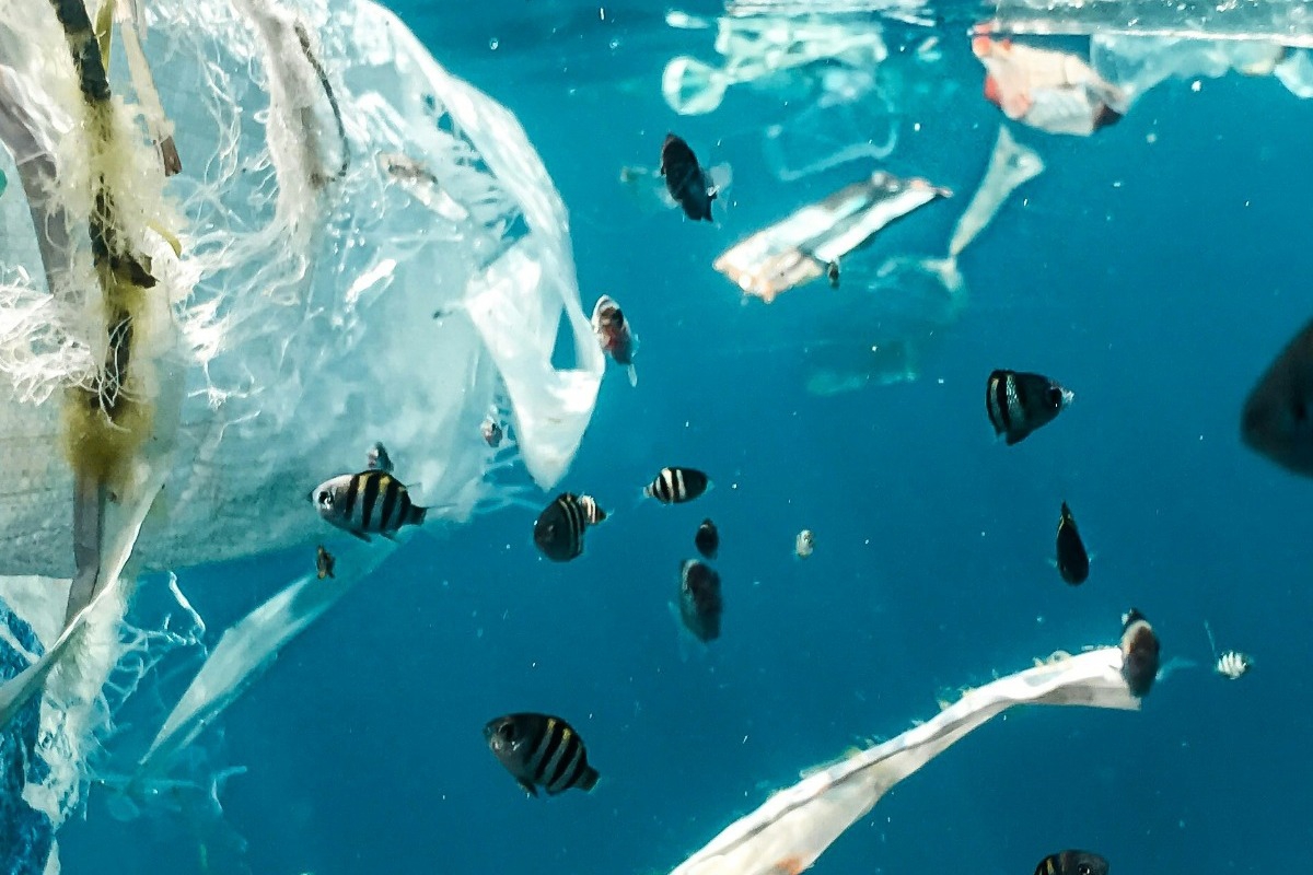 Μικροπλαστικά: Ο αόρατος εχθρός που κρύβεται στο σπίτι σας – 10 τρόποι να τον σταματήσετε!