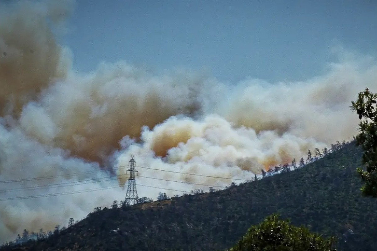 Φωτιά στο δάσος της Πάρνηθας ‑ Από έκρηξη σε πυλώνα ηλεκτρικού ξεκίνησε το πύρινο μέτωπο