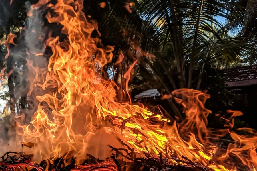 Εxplainer: Γιατί η Καλιφόρνια είναι τόσο επιρρεπής στις φωτιές;