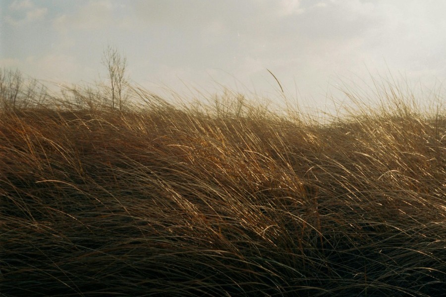 Καιρός ‑ Προειδοποίηση Χατζηγρίβα: Έρχεται σοβαρή αλλαγή ‑ Η ημερομηνία «κλειδί»