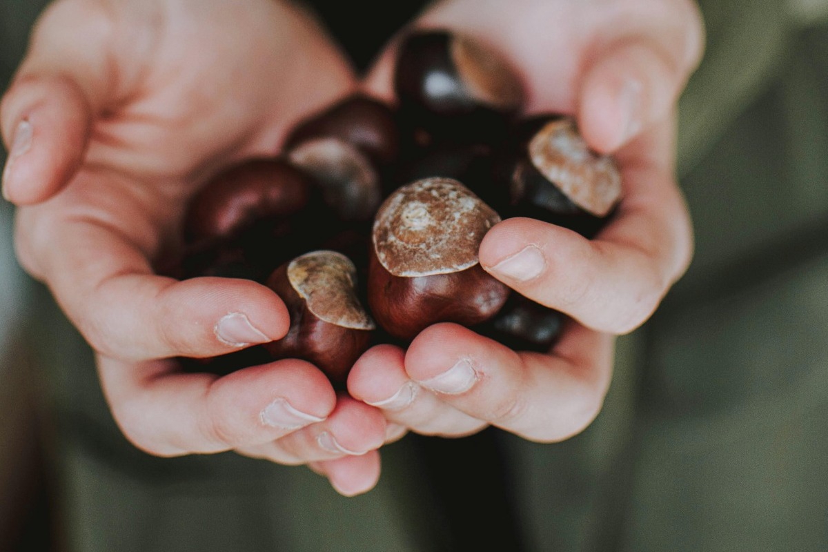 To Δείπνο των Κάστανων, ένα από τα μεγαλύτερα σκάνδαλα στην ιστορία του Βατικανού