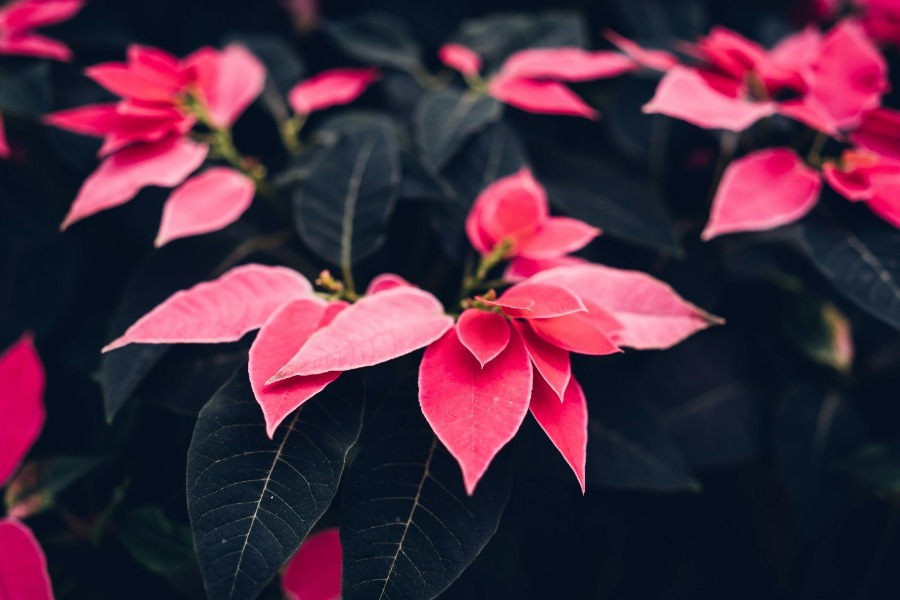 Τα ζώδια σήμερα 23/11: Η μέρα έχει μια ωραία κοινωνική ενέργεια